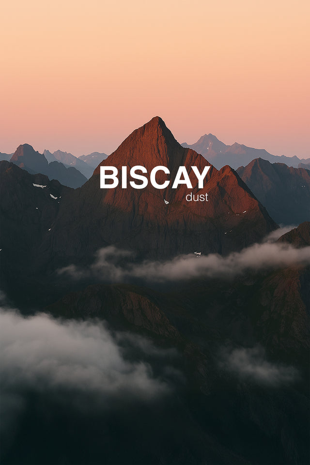 Biscay Single Dust - 1 Adet 50x90 cm El / Yüz Havlusu