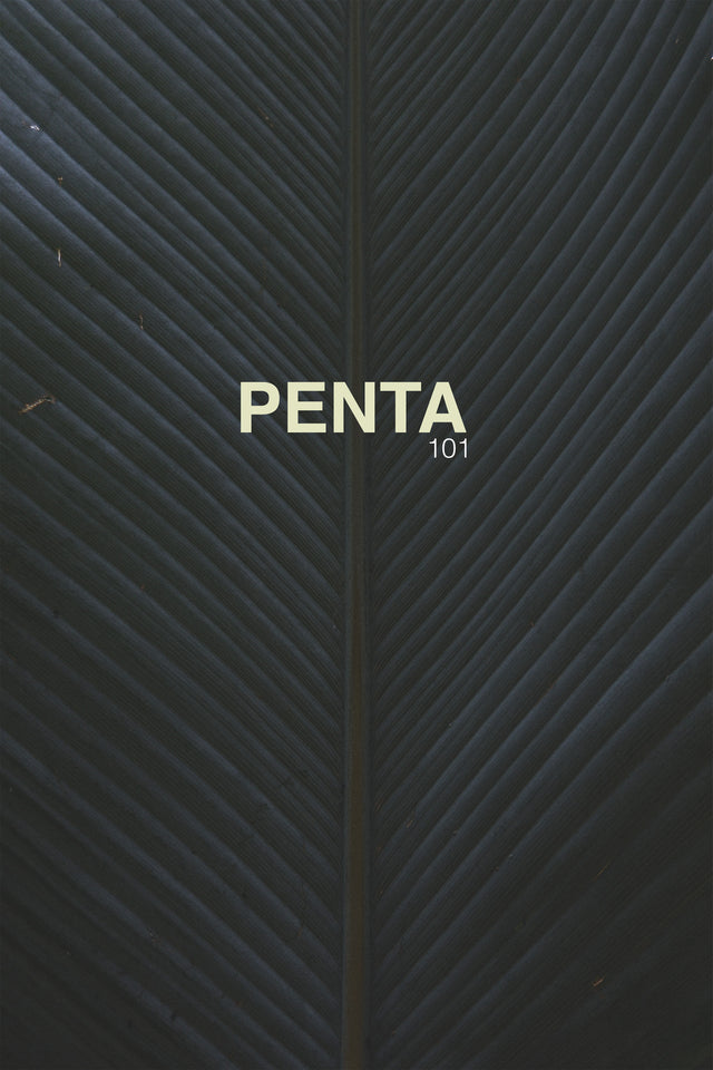 Penta Bathmat 101 - 2 Adet 50x75 cm Premium Ayak Havlusu