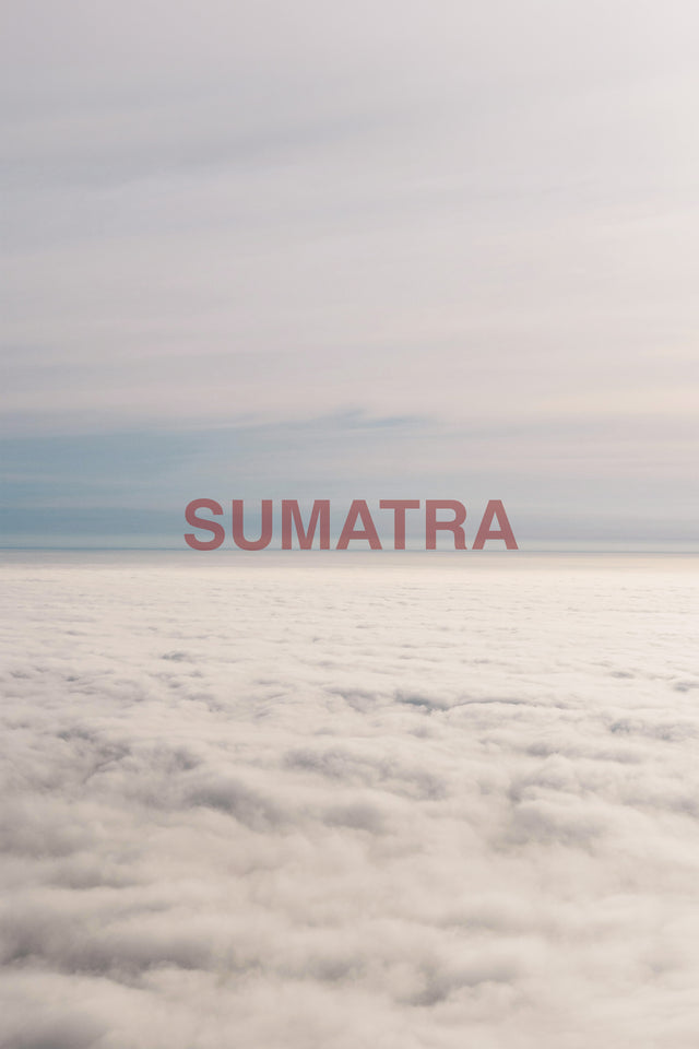 Sumatra - Çift Kişilik Nevresim Takımı