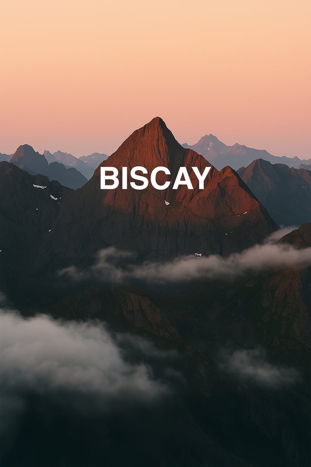 Biscay - 4 Adet 50x90 cm El / Yüz Havlu Seti