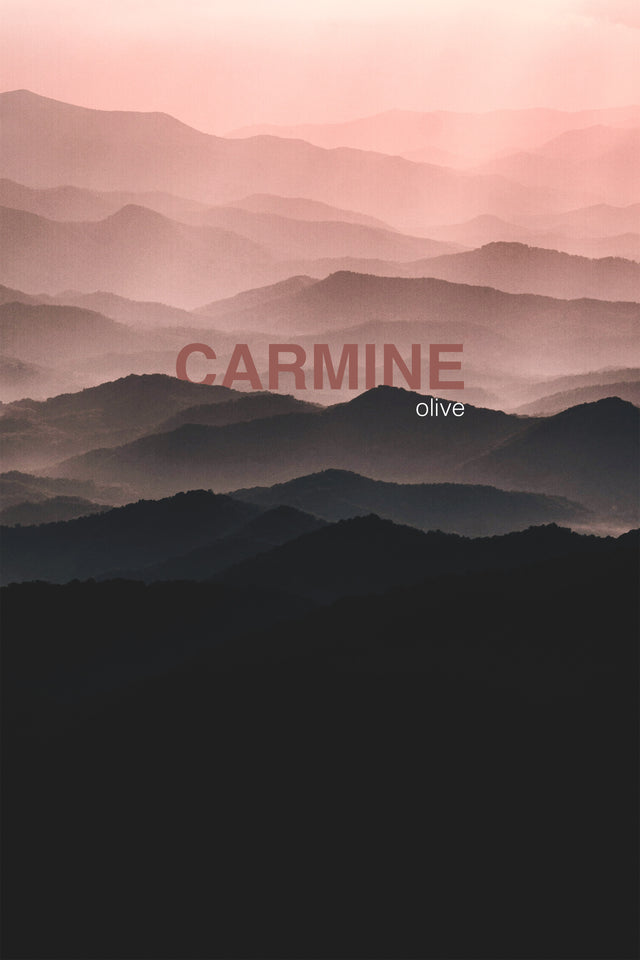 Carmine Set Olive - 2 Adet 70x140 cm, 2 Adet 50x90 cm Havlu Seti