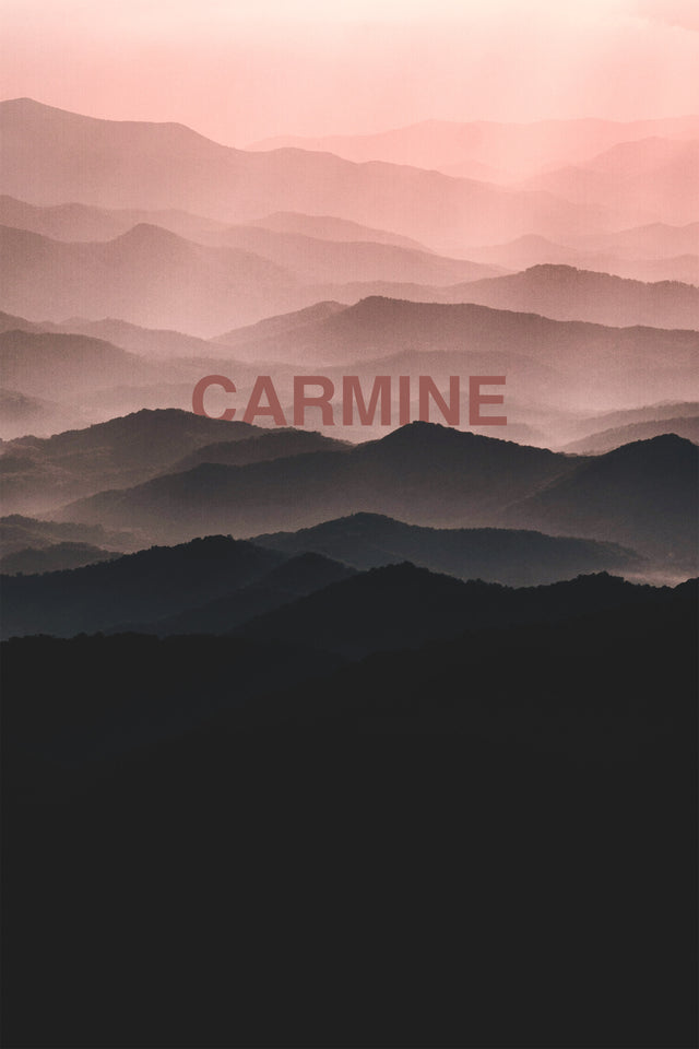 Carmine - 4 Adet 50x90 cm El / Yüz Havlu Seti