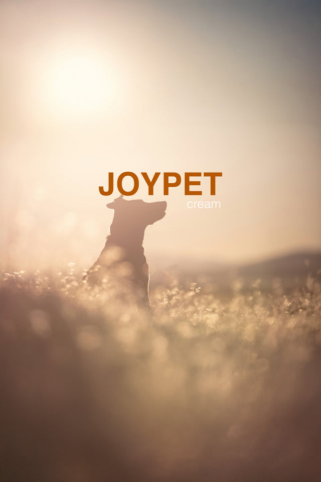 Joypet Cream - Pet Havlusu