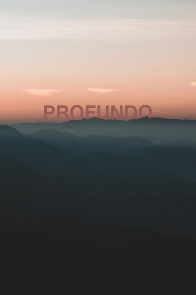 Profundo - 4 Adet 50x90 cm El / Yüz Havlu Seti